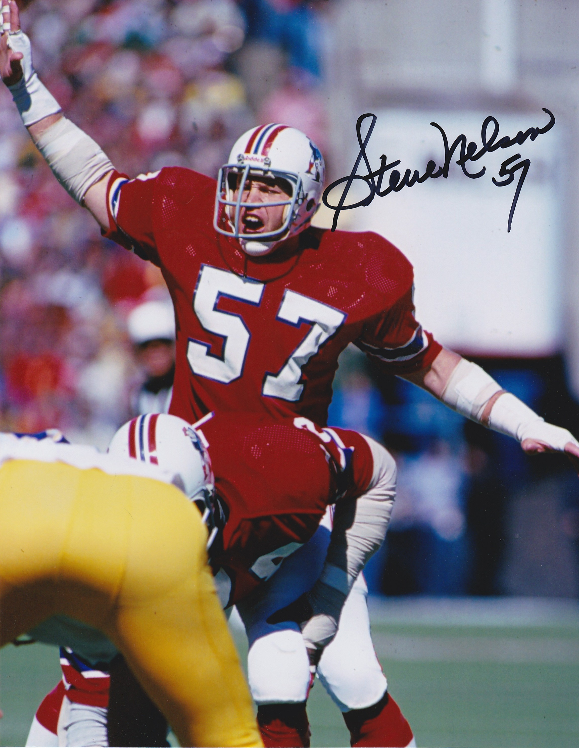 Steve Nelson Autograph 8x10 Color photo New England Patriots