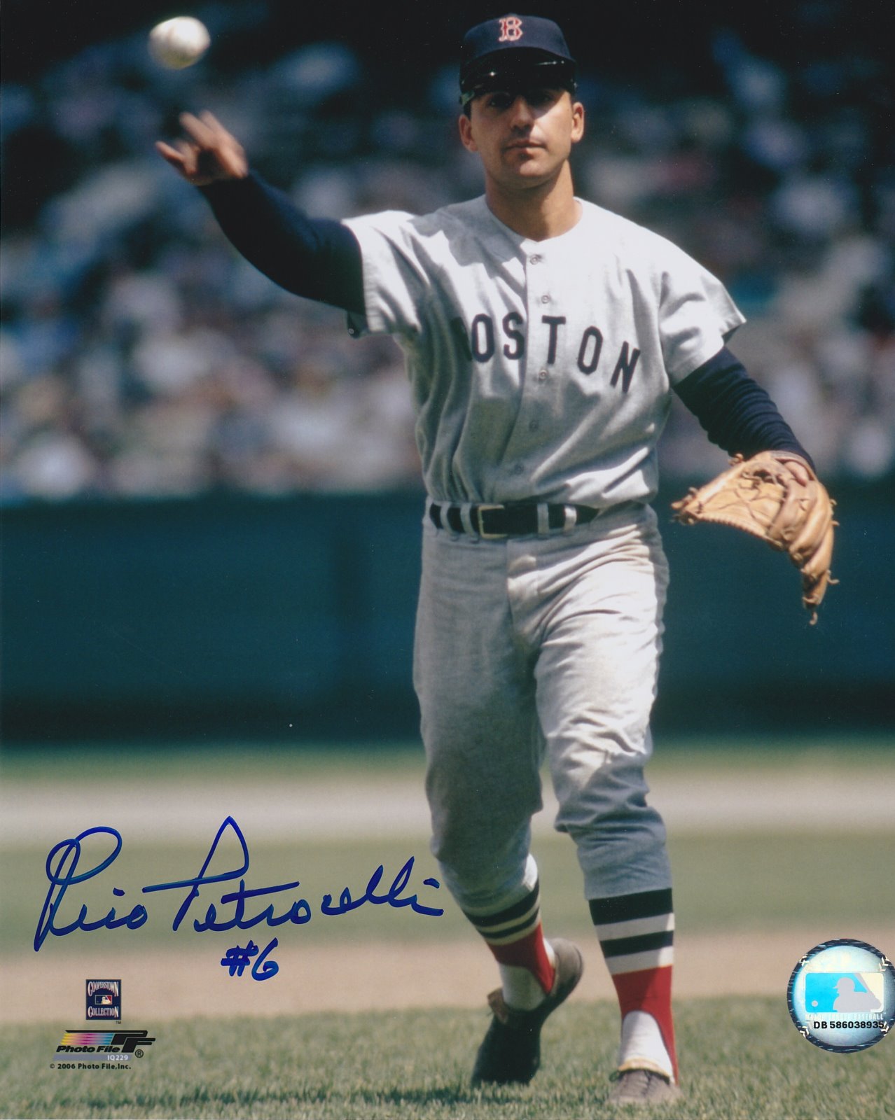 Rico Petrocelli Autograph 8x10 Color photo Boston Red Sox